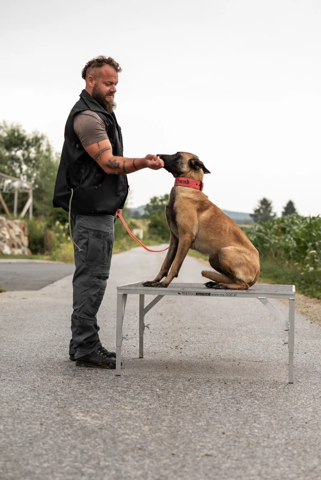 Thor sitzt beim Training auf einem Podest und nimmt Futter aus Georgs Hand