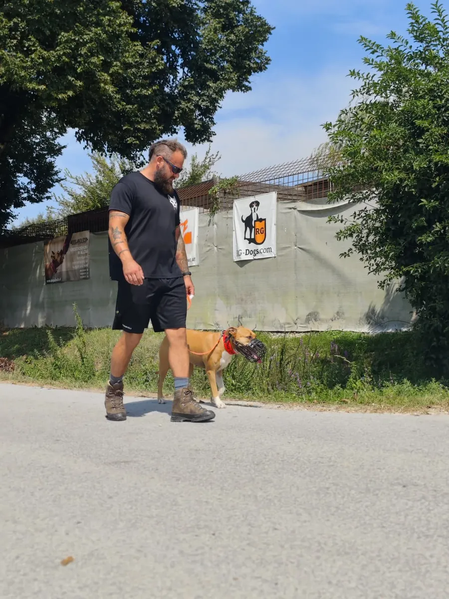 Verhaltensanalyse vor Ort bei Georg