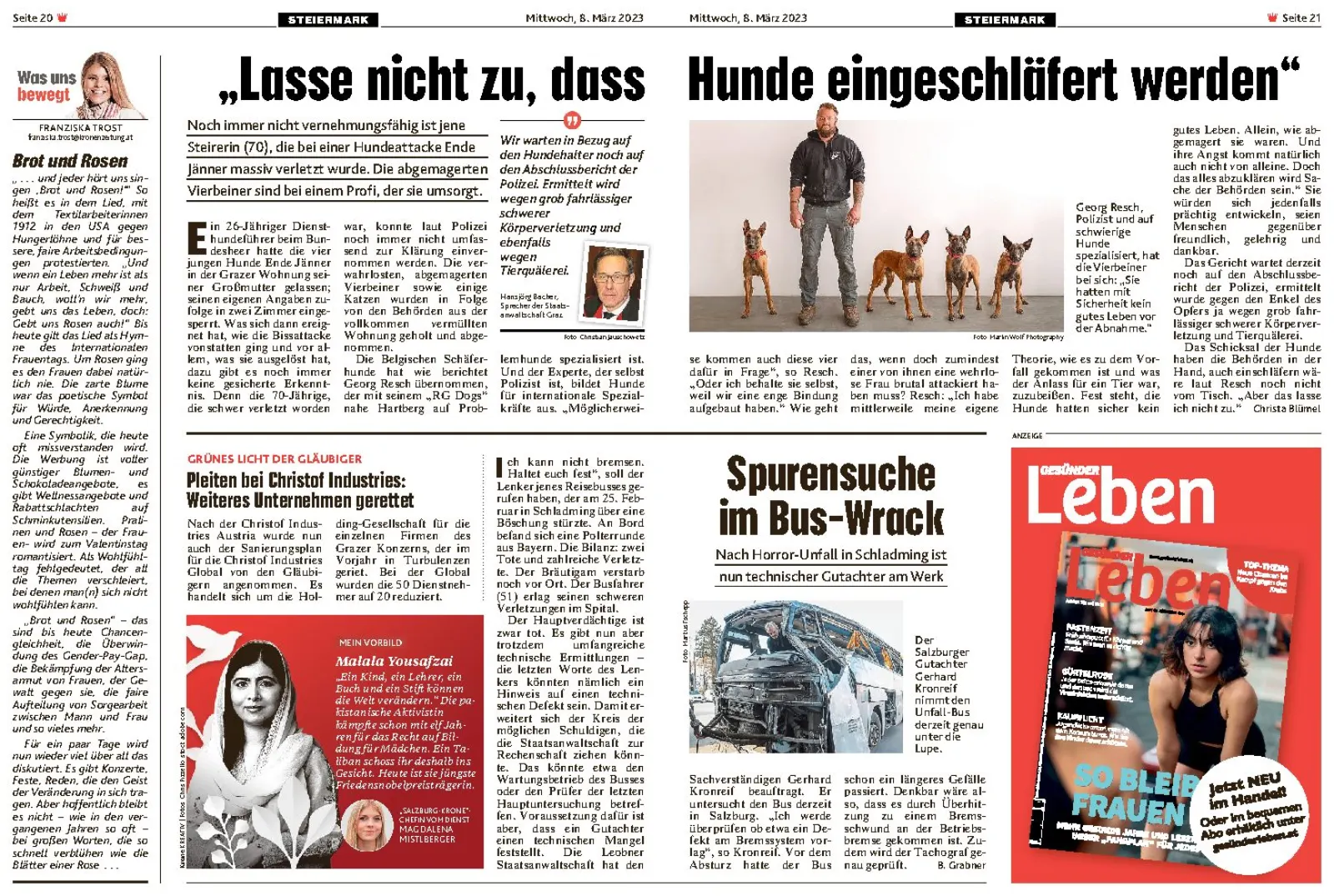 Zeitungsseite: Lasse nicht zu, dass Hunde eingeschläfert werden