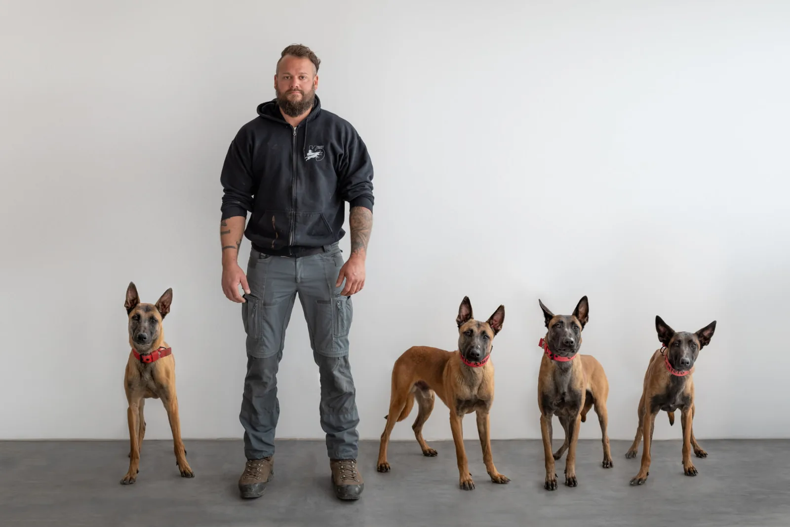 Georg Resch steht mit Thor und den drei anderen Malinois vor einer weißen Wand