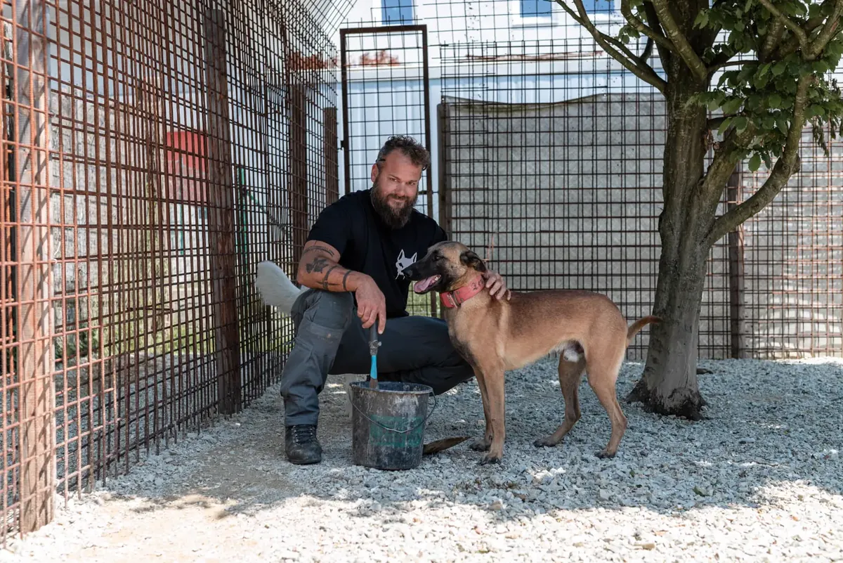 Problemhunde im Tierheim – Beurteilung und Absicherung