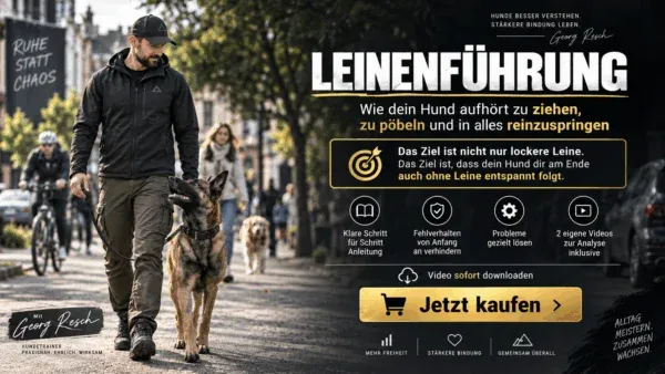 Videokurs Leinenführung