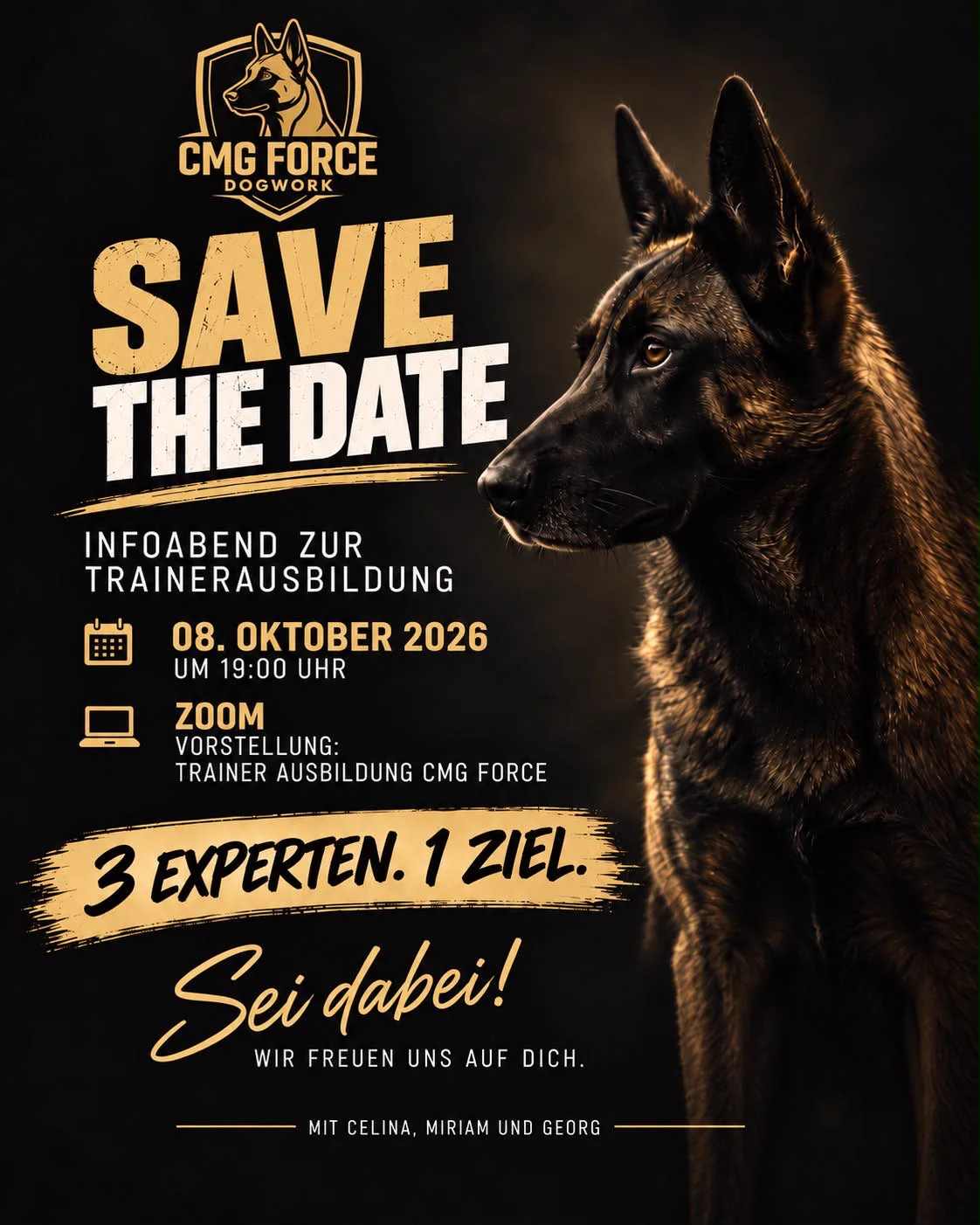 Save the Date: Infoabend zur Trainerausbildung von CMG Force Dogwork, 08. Oktober 2026 um 19:00 Uhr per Zoom, mit Celina, Miriam und Georg