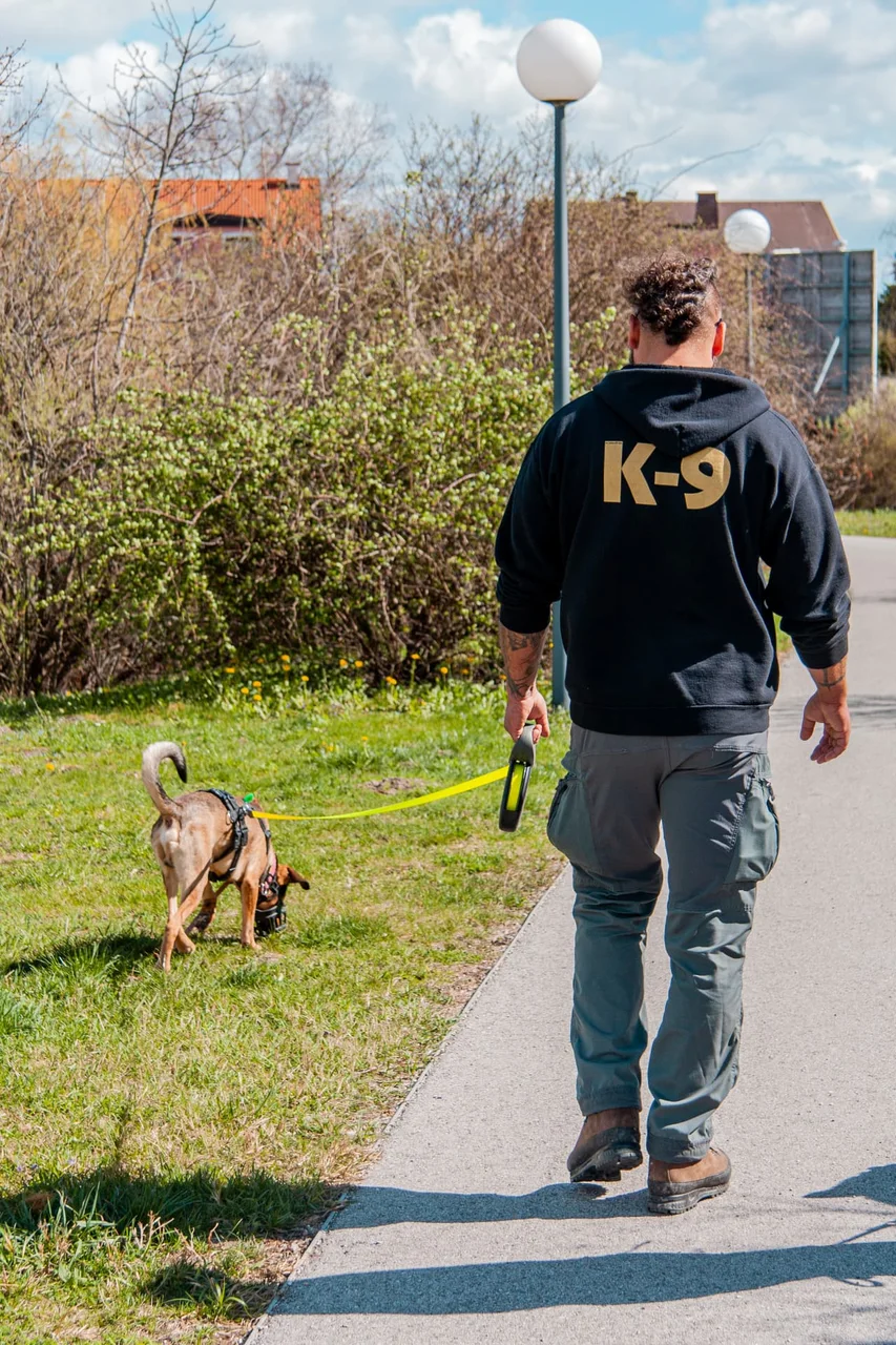 Erstgespräch K9-Diensthundeausbildung
