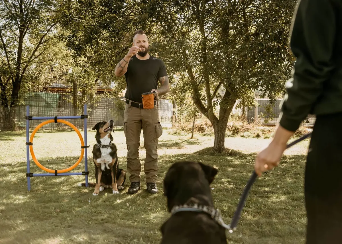 Jagdhundetraining – Trainingstag