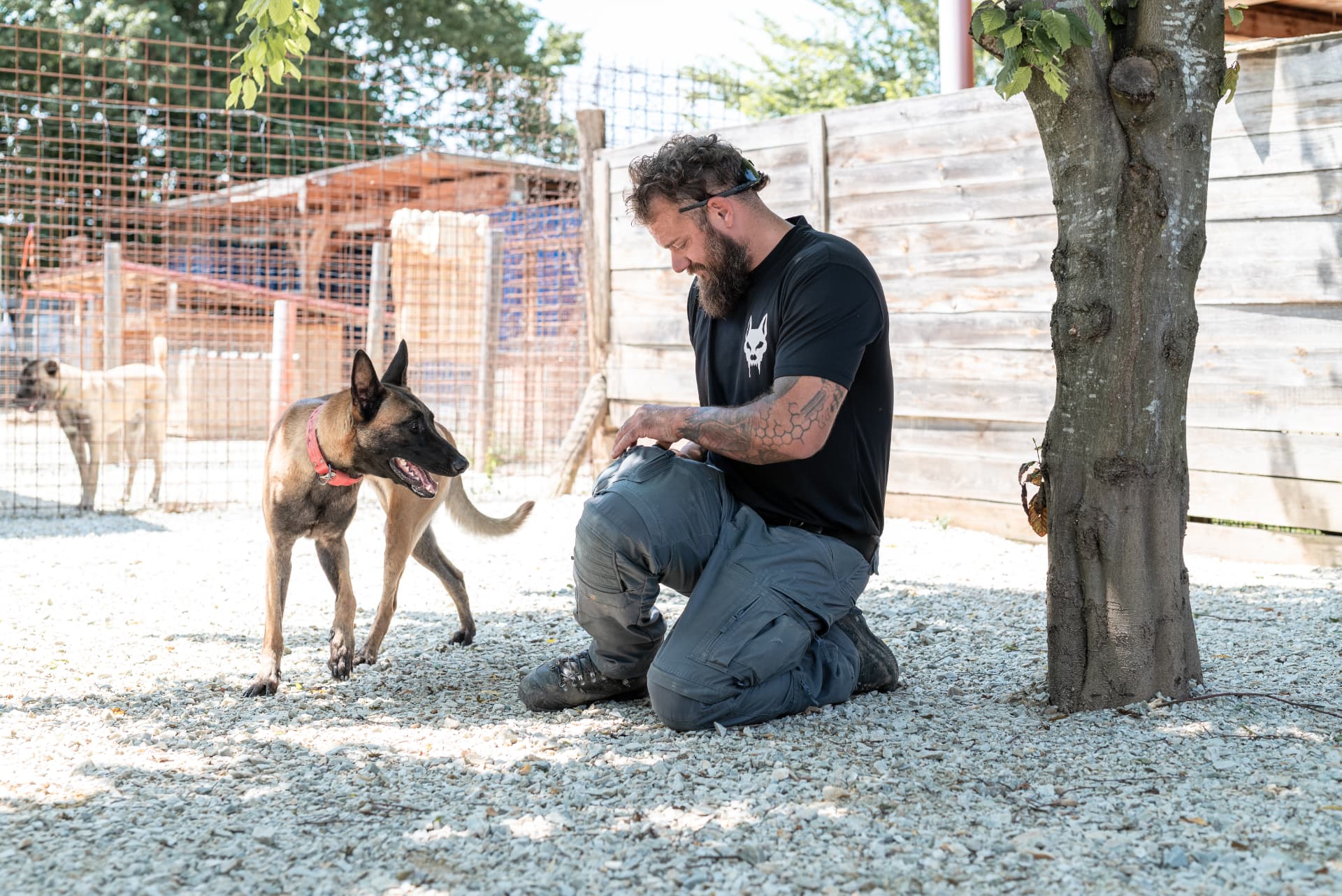 Hundepension Kennenlernen