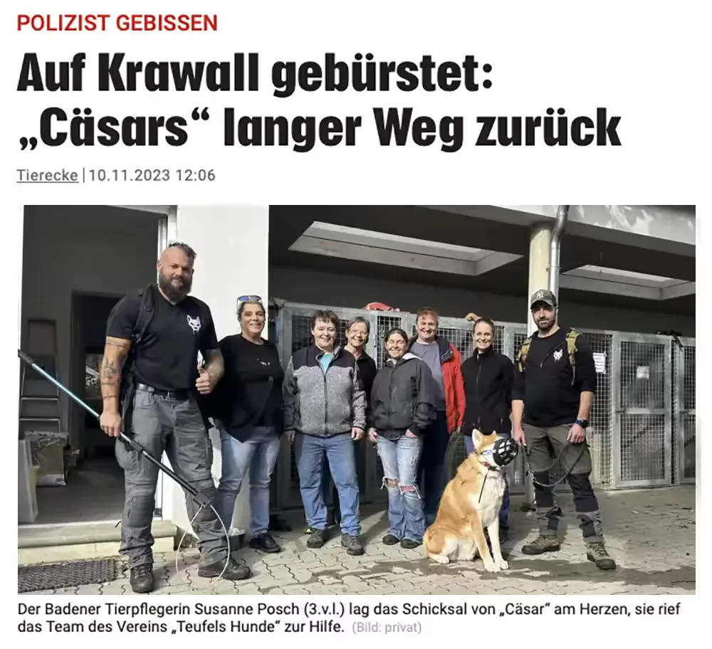 Zeitungsartikel über Cäsars langen Weg zurück