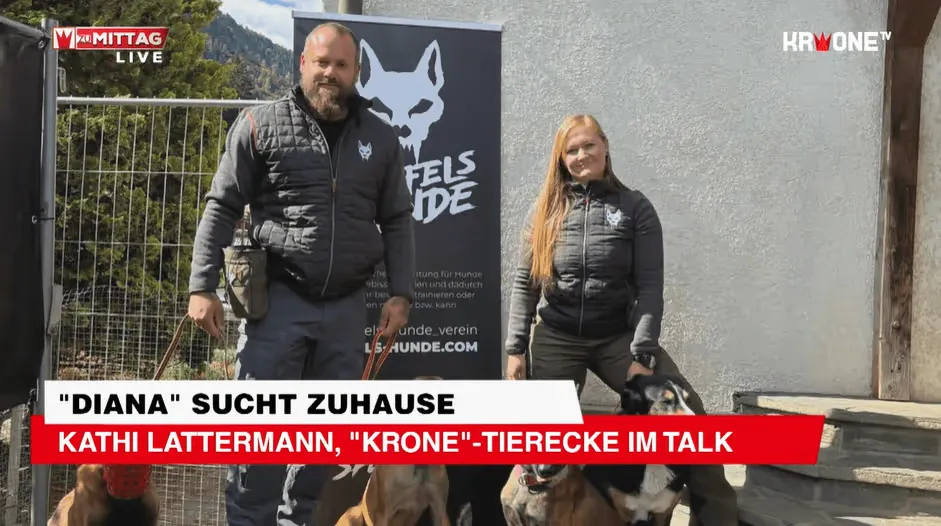 Sendungsbild „Krone zu Mittag“ mit der Hündin Diana