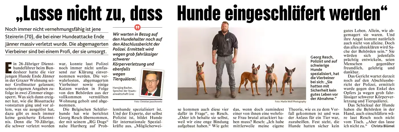 Zeitungsartikel „Lasse nicht zu, dass Hunde eingeschläfert werden“