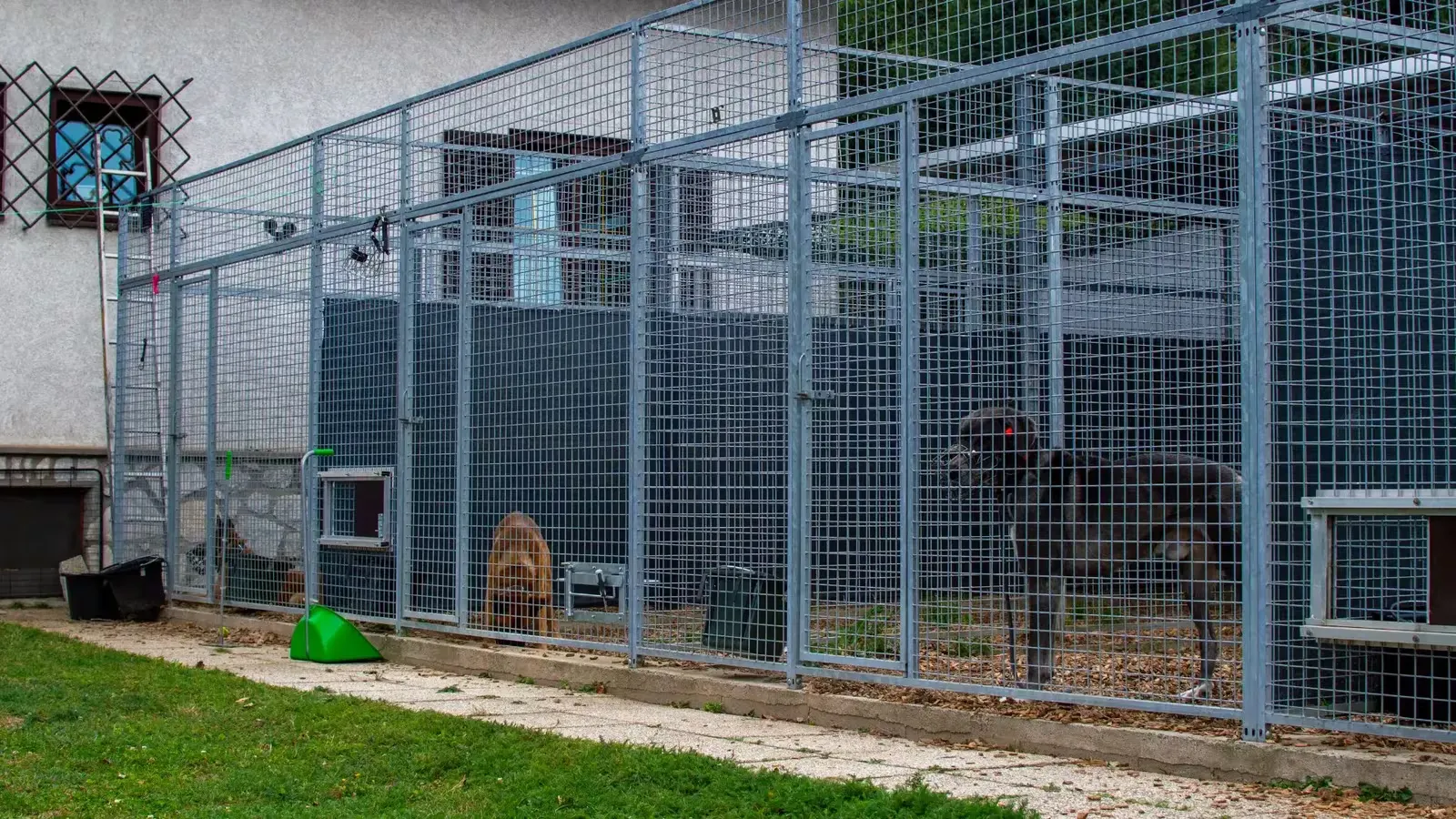 Sichere Zwinger und Boxen zur Unterbringung der Pensionshunde