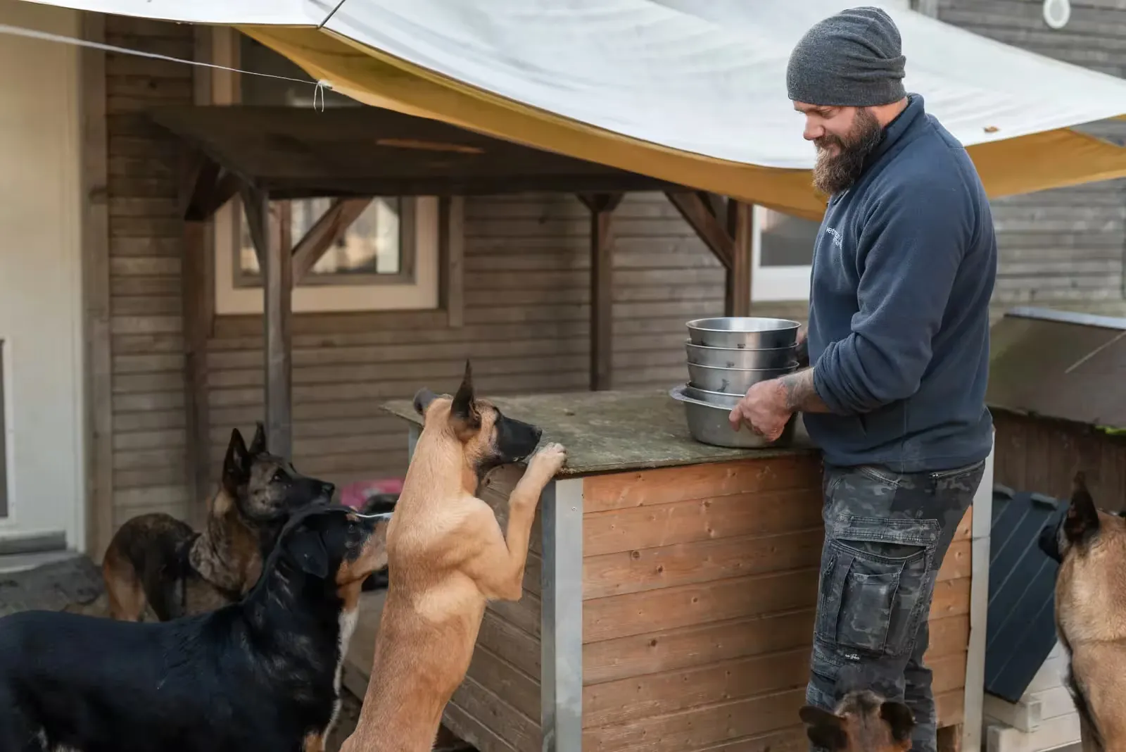 Georg Resch versorgt mehrere Hunde am Futterplatz auf dem Teufelshunde-Gelände