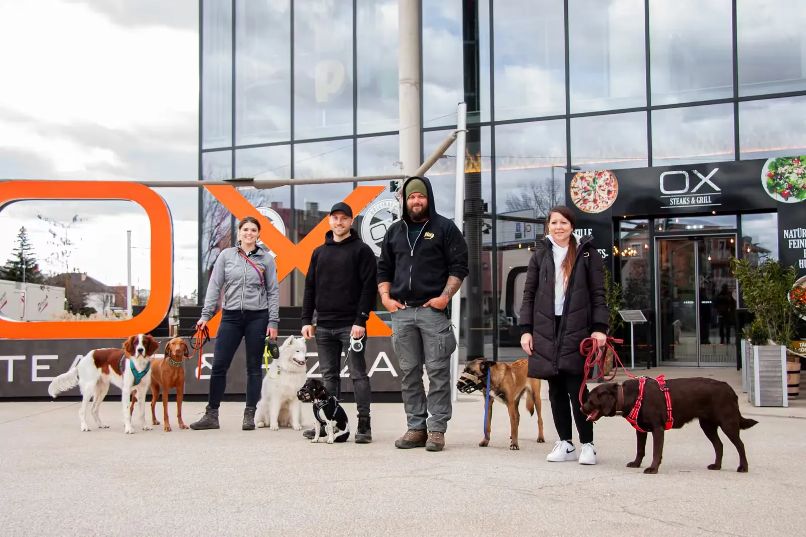Team mit verschiedenen Hunden im öffentlichen Raum vor einem Restaurant