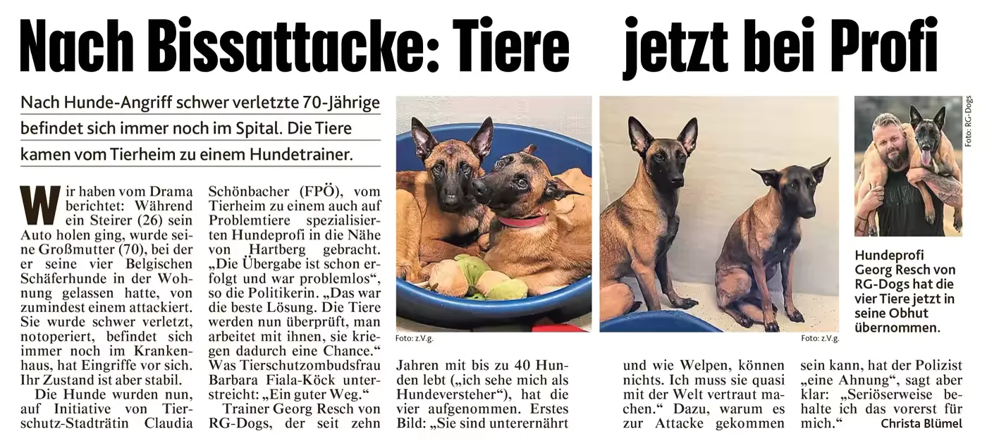 Zeitungsartikel „Nach Bissattacke: Tiere jetzt bei Profi“