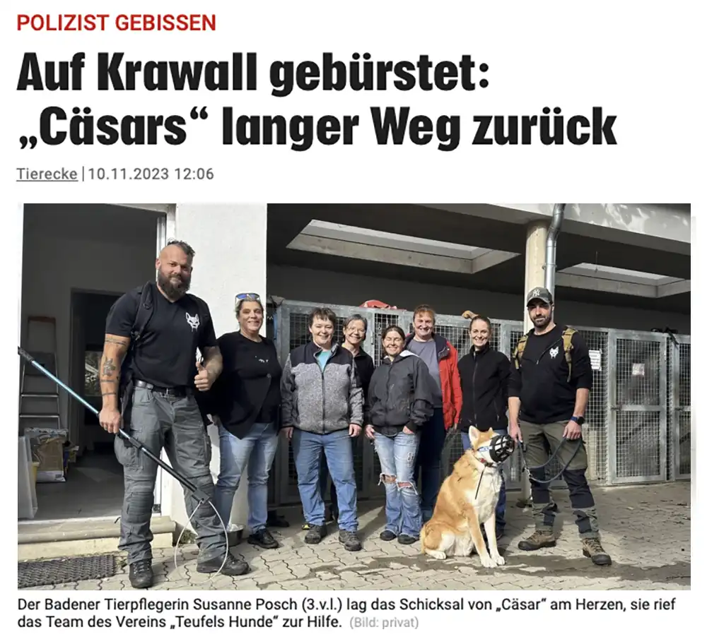 teufels-hunde-krone-artikel-101123-polizist-gebissen