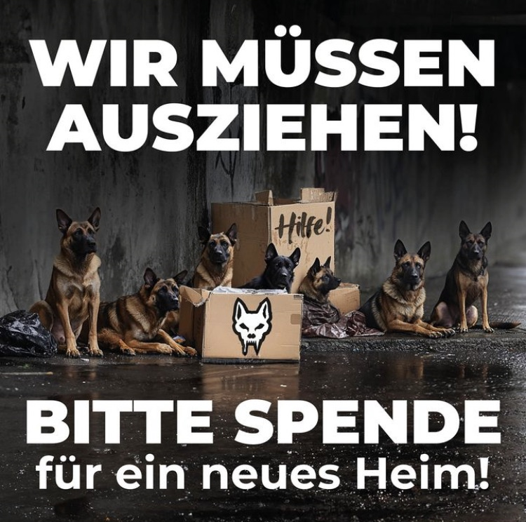 neues-heim-spende-teufels-hunde